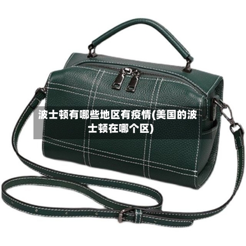 波士顿有哪些地区有疫情(美国的波士顿在哪个区)-第3张图片