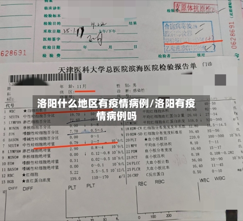 洛阳什么地区有疫情病例/洛阳有疫情病例吗