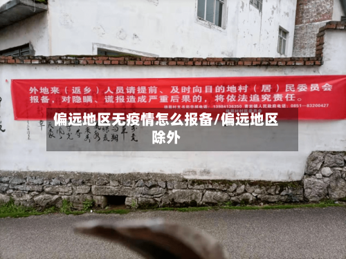 偏远地区无疫情怎么报备/偏远地区除外-第2张图片