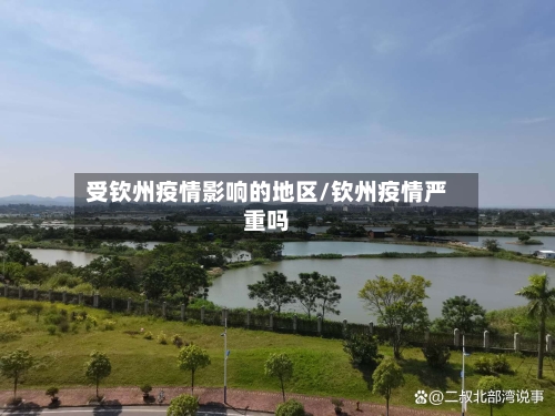 受钦州疫情影响的地区/钦州疫情严重吗