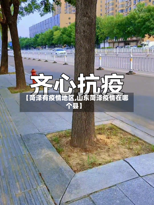 【菏泽有疫情地区,山东菏泽疫情在哪个县】-第2张图片