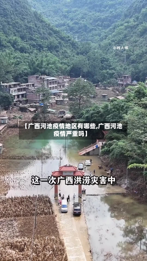 【广西河池疫情地区有哪些,广西河池疫情严重吗】