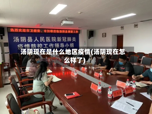 汤阴现在是什么地区疫情(汤阴现在怎么样了)-第3张图片