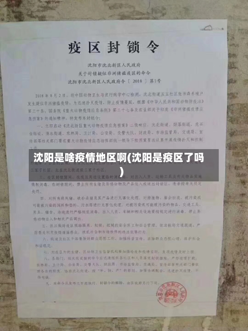 沈阳是啥疫情地区啊(沈阳是疫区了吗)