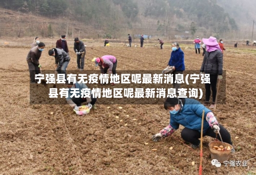宁强县有无疫情地区呢最新消息(宁强县有无疫情地区呢最新消息查询)-第2张图片