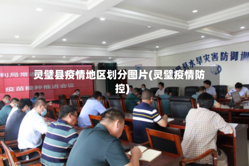 灵璧县疫情地区划分图片(灵璧疫情防控)-第3张图片