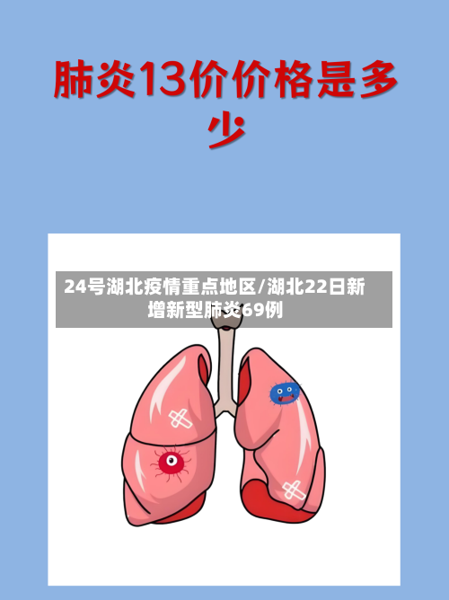 24号湖北疫情重点地区/湖北22日新增新型肺炎69例-第3张图片