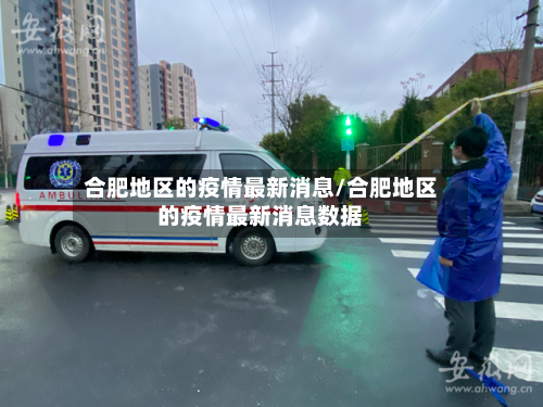 合肥地区的疫情最新消息/合肥地区的疫情最新消息数据-第3张图片