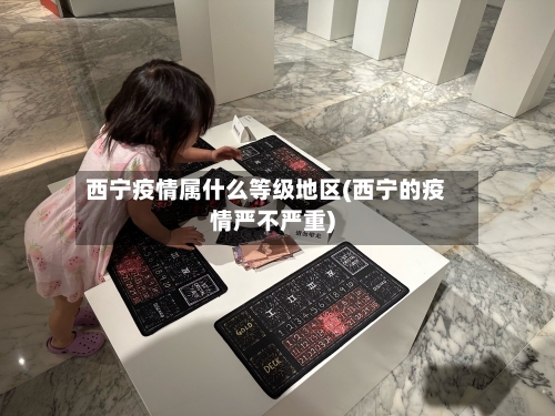 西宁疫情属什么等级地区(西宁的疫情严不严重)-第2张图片