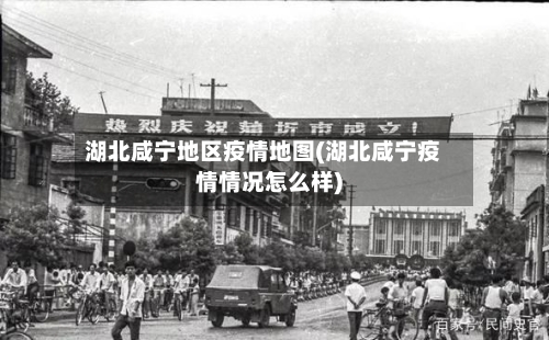 湖北咸宁地区疫情地图(湖北咸宁疫情情况怎么样)-第3张图片