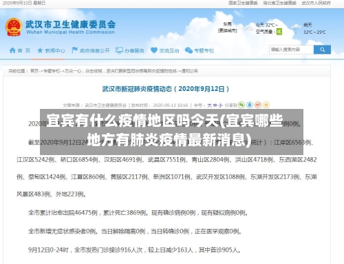 宜宾有什么疫情地区吗今天(宜宾哪些地方有肺炎疫情最新消息)-第2张图片