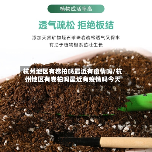 杭州地区有卷柏吗最近有疫情吗/杭州地区有卷柏吗最近有疫情吗今天-第2张图片