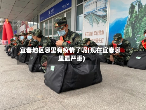 宜春地区哪里有疫情了呢(现在宜春哪里最严重)-第2张图片