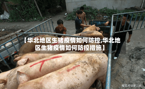 【华北地区生猪疫情如何防控,华北地区生猪疫情如何防控措施】