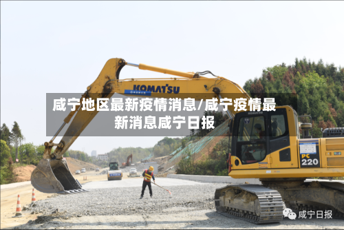 咸宁地区最新疫情消息/咸宁疫情最新消息咸宁日报