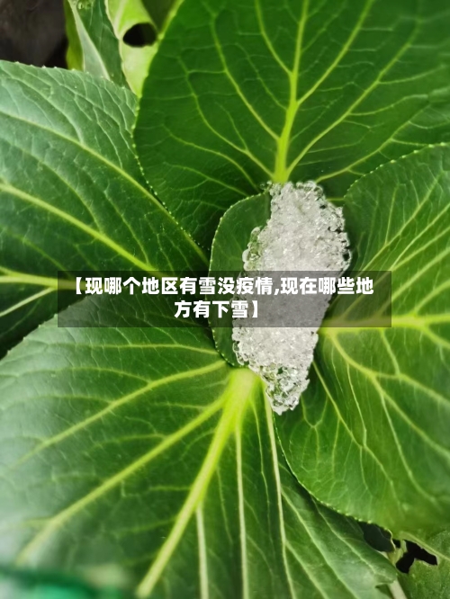 【现哪个地区有雪没疫情,现在哪些地方有下雪】