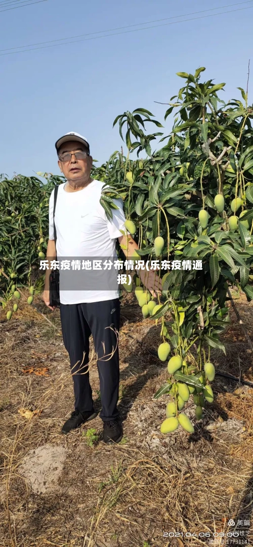 乐东疫情地区分布情况(乐东疫情通报)-第2张图片