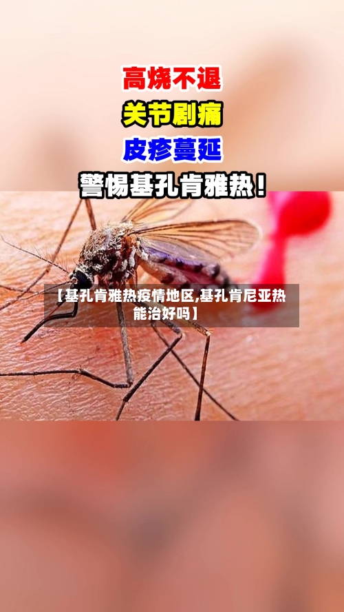 【基孔肯雅热疫情地区,基孔肯尼亚热能治好吗】-第2张图片