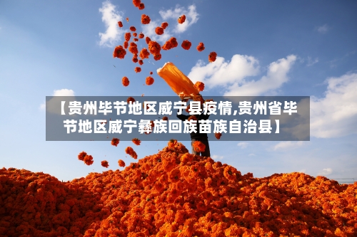 【贵州毕节地区威宁县疫情,贵州省毕节地区威宁彝族回族苗族自治县】