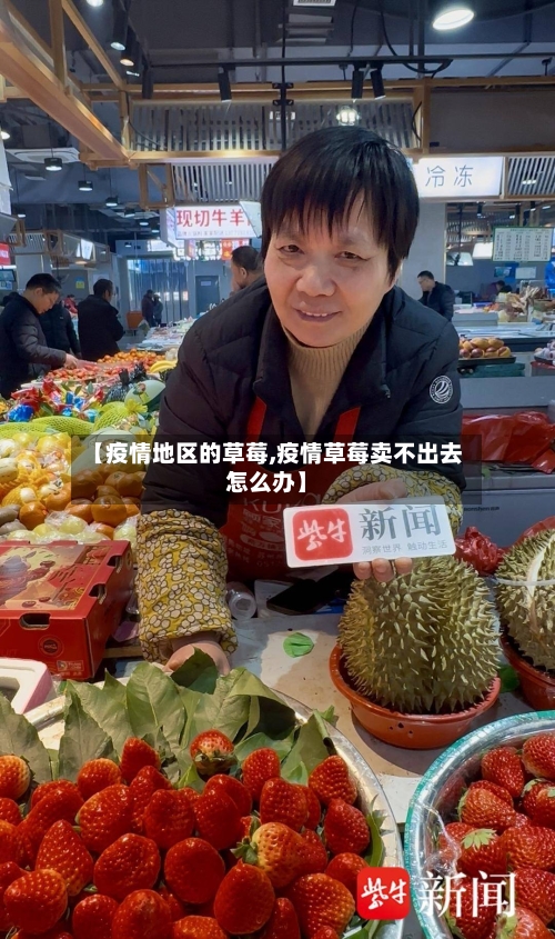 【疫情地区的草莓,疫情草莓卖不出去怎么办】-第3张图片