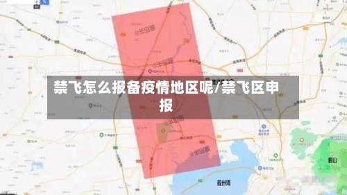 禁飞怎么报备疫情地区呢/禁飞区申报-第3张图片