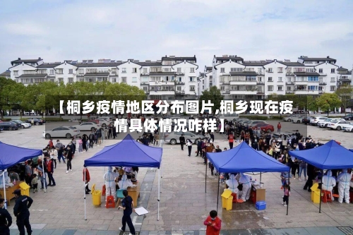 【桐乡疫情地区分布图片,桐乡现在疫情具体情况咋样】-第2张图片