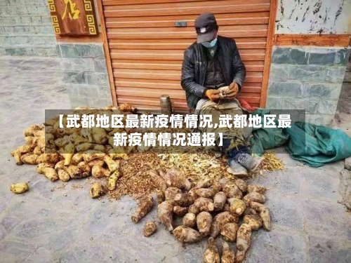 【武都地区最新疫情情况,武都地区最新疫情情况通报】-第2张图片