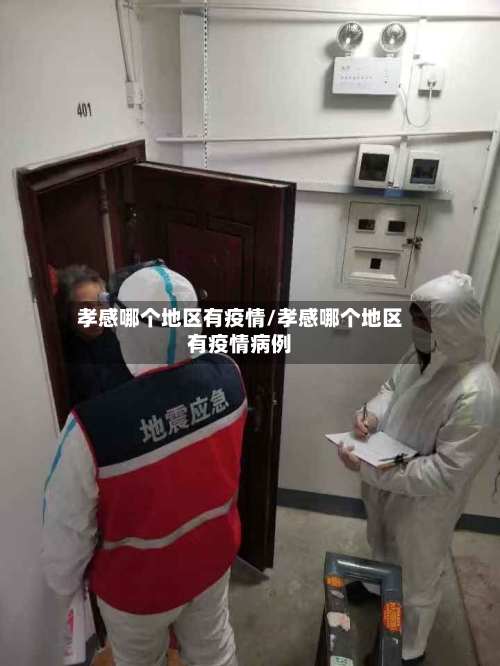 孝感哪个地区有疫情/孝感哪个地区有疫情病例