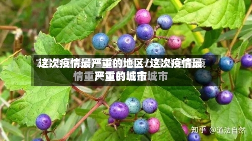 这次疫情最严重的地区/这次疫情最严重的城市-第3张图片