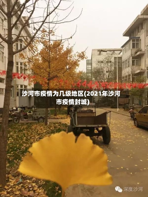 沙河市疫情为几级地区(2021年沙河市疫情封城)-第2张图片