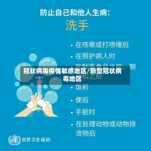冠状病毒疫情敏感地区/新型冠状病毒地区