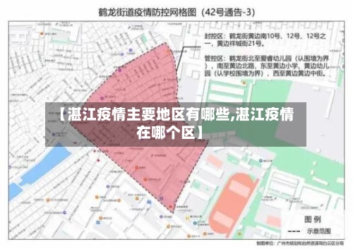 【湛江疫情主要地区有哪些,湛江疫情在哪个区】