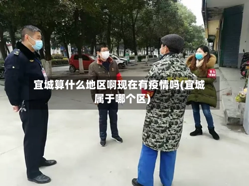 宜城算什么地区啊现在有疫情吗(宜城属于哪个区)