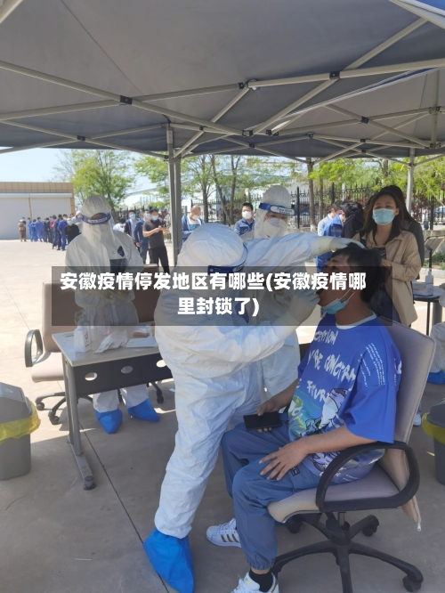 安徽疫情停发地区有哪些(安徽疫情哪里封锁了)-第3张图片
