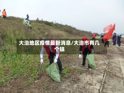 大治地区疫情最新消息/大治市有几个镇