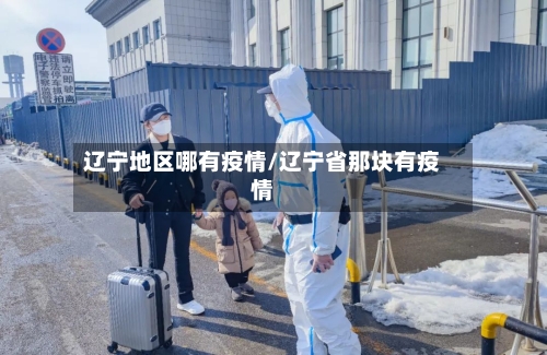 辽宁地区哪有疫情/辽宁省那块有疫情-第2张图片