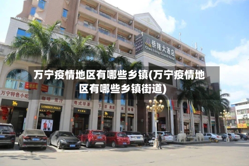 万宁疫情地区有哪些乡镇(万宁疫情地区有哪些乡镇街道)-第3张图片