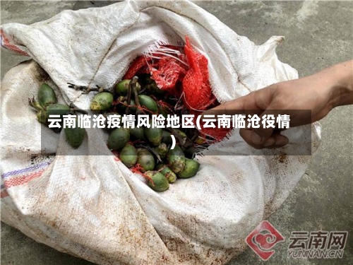 云南临沧疫情风险地区(云南临沧役情)-第2张图片