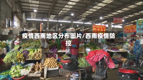 疫情西南地区分布图片/西南疫情防控