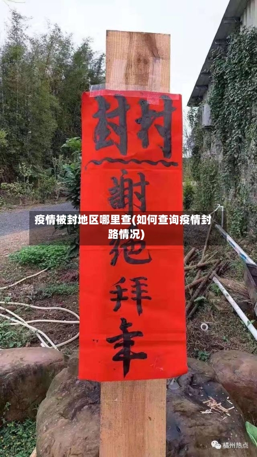 疫情被封地区哪里查(如何查询疫情封路情况)-第3张图片