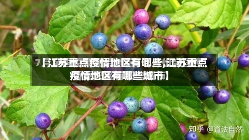 【江苏重点疫情地区有哪些,江苏重点疫情地区有哪些城市】-第3张图片