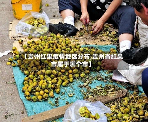 【贵州红果疫情地区分布,贵州省红果市属于哪个市】-第2张图片