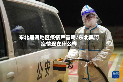 东北黑河地区疫情严重吗/东北黑河疫情现在什么样-第3张图片
