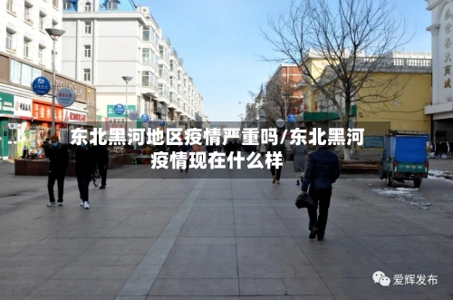 东北黑河地区疫情严重吗/东北黑河疫情现在什么样-第2张图片