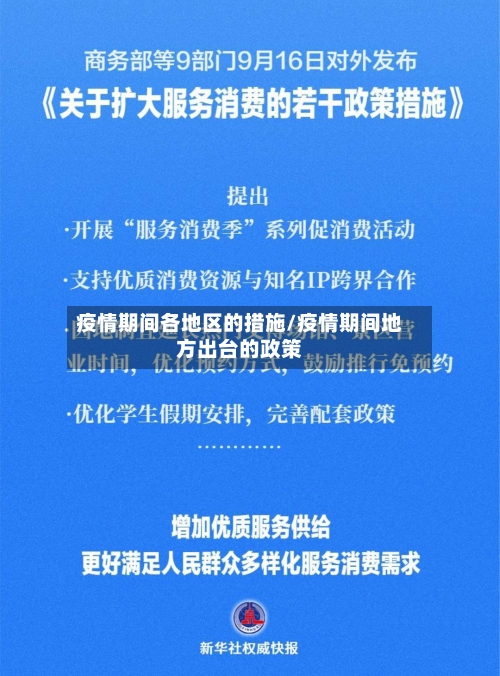 疫情期间各地区的措施/疫情期间地方出台的政策