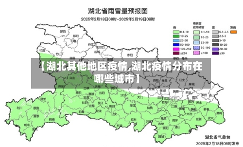 【湖北其他地区疫情,湖北疫情分布在哪些城市】-第2张图片