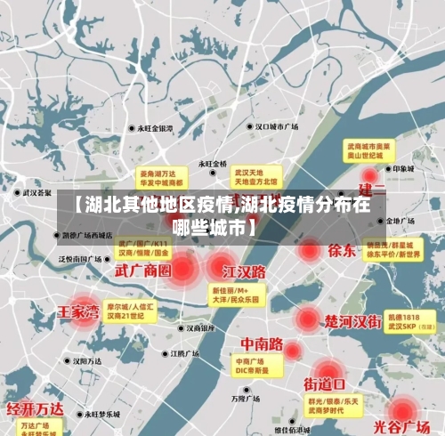 【湖北其他地区疫情,湖北疫情分布在哪些城市】-第3张图片