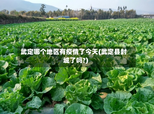武定哪个地区有疫情了今天(武定县封城了吗?)