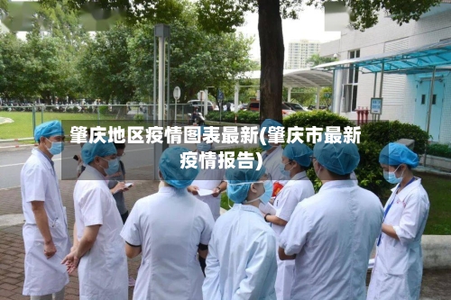 肇庆地区疫情图表最新(肇庆市最新疫情报告)