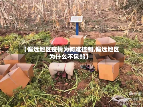 【偏远地区疫情为何难控制,偏远地区为什么不包邮】
